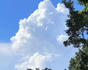 云浮天气预报,云浮7天天气预报,云浮15天天气预报,云浮天气查询